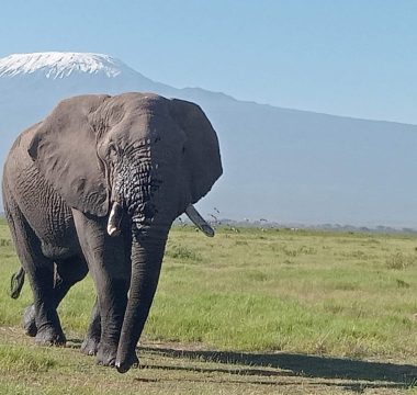 Tanzania